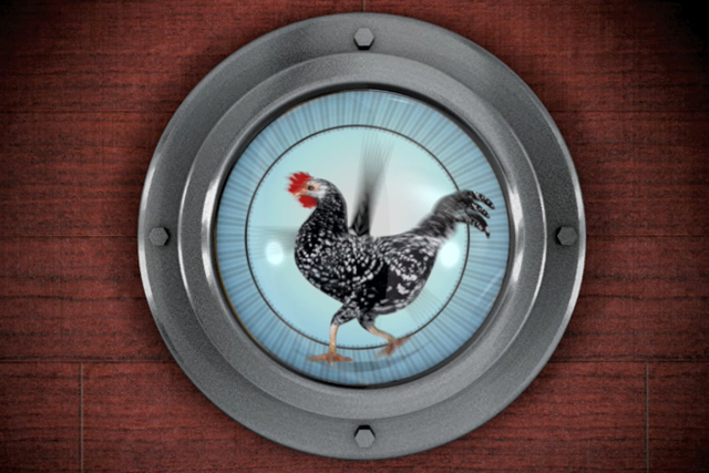 Chicken